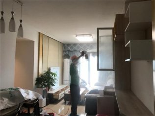 新房除甲醛只需一招，既簡單又科學